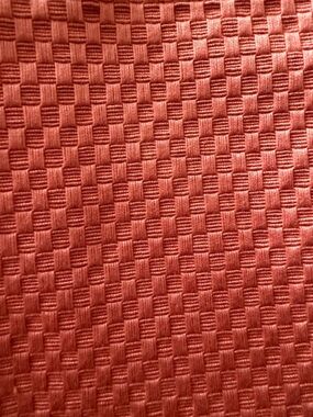 Schumacher Rust Barnet Cotton Fabric Panel / Sample